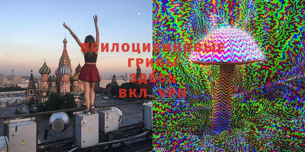 трава Аркадак