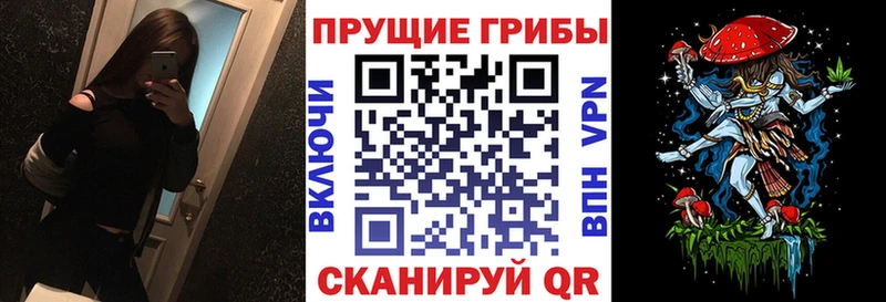Купить закладки  Далматово  Галлюциногенные грибы GOLDEN TEACHER 