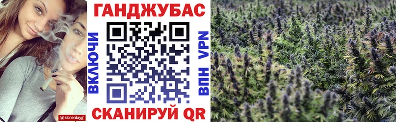 Каннабис сатива  Купить где  Далматово 